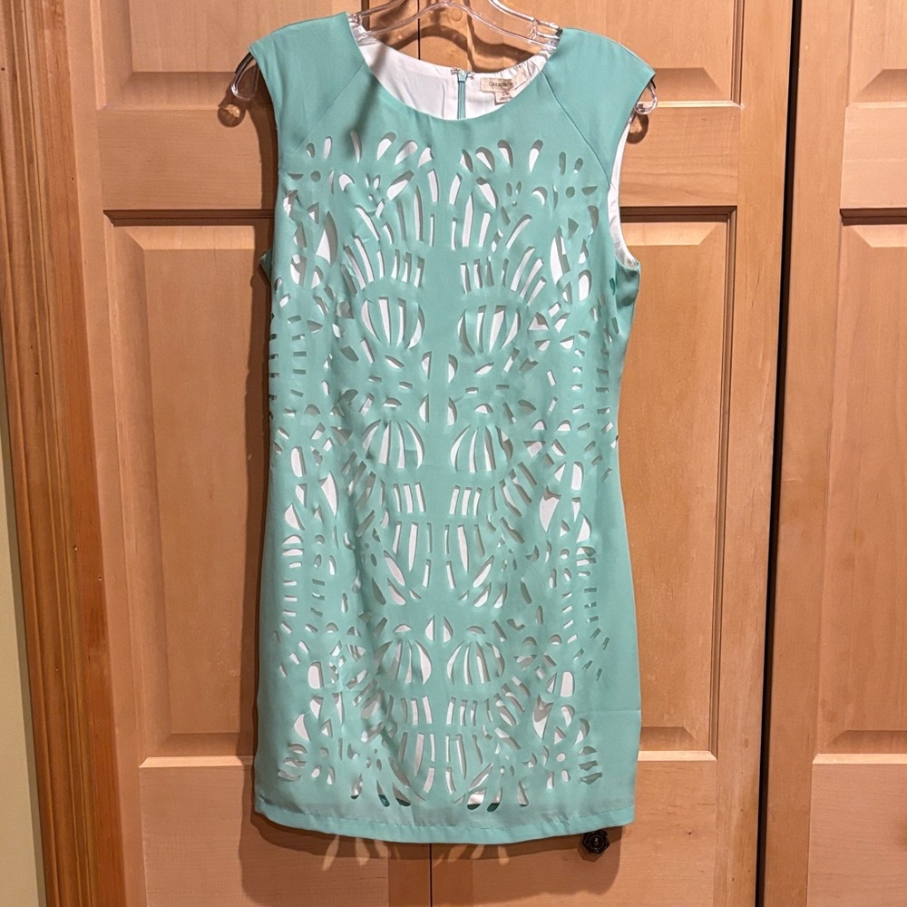 New Carapace Mint Green Mini Dress